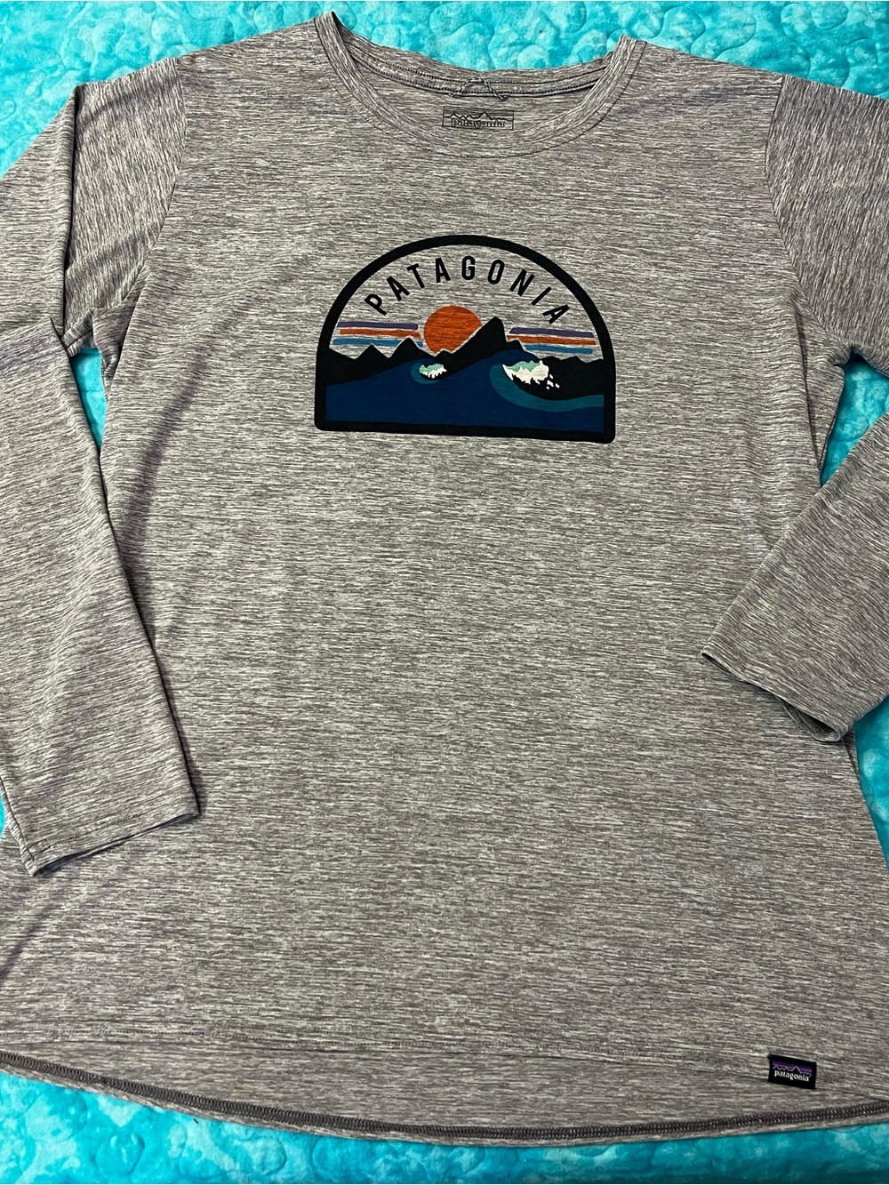 Patagonia Grey Long-Sleeve Women’s Tee with Mountain Logo